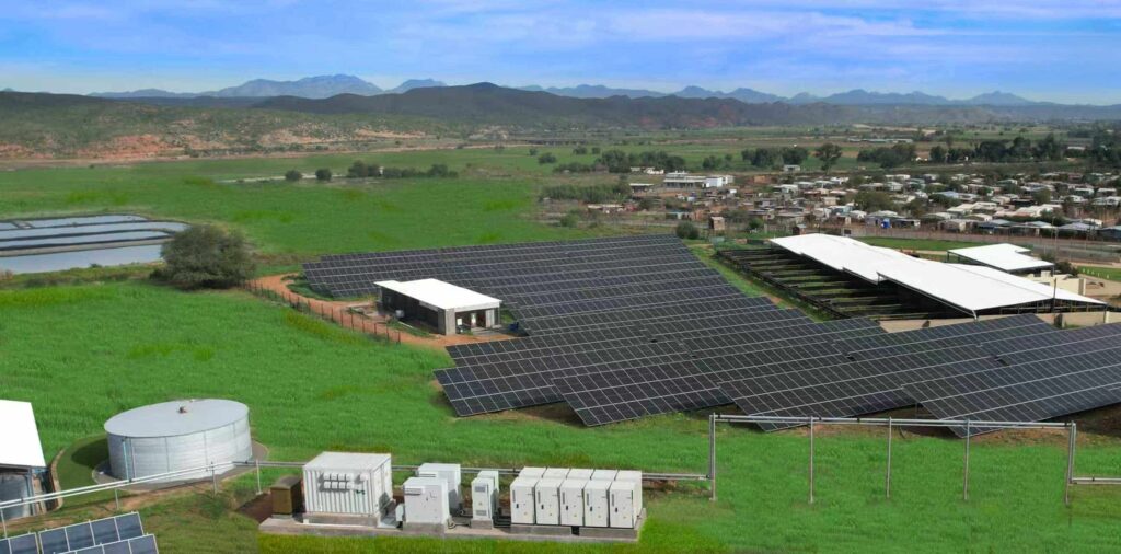 TWS Technology ESS-Ostrich Farming 3000kW / 3727kWh Project in Oudtshoorn, South Africa